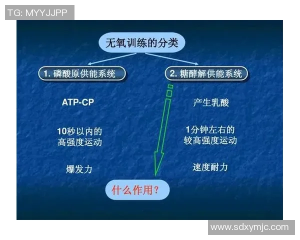 重庆羽毛球队整体压制打法深度分析与战术解读
